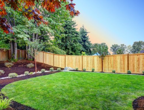 First Time Buyer Recommendations