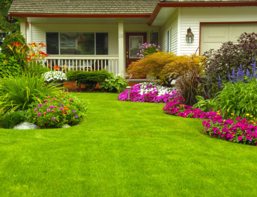 Listing Your Home for the Spring Season!