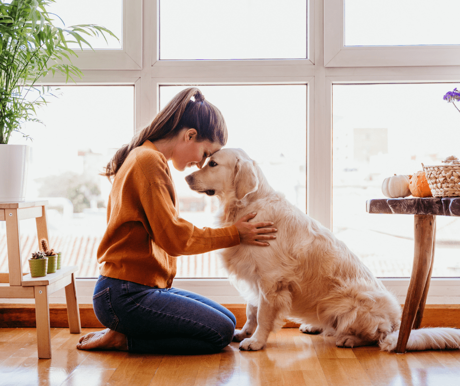 Mastering an Open House with Pets